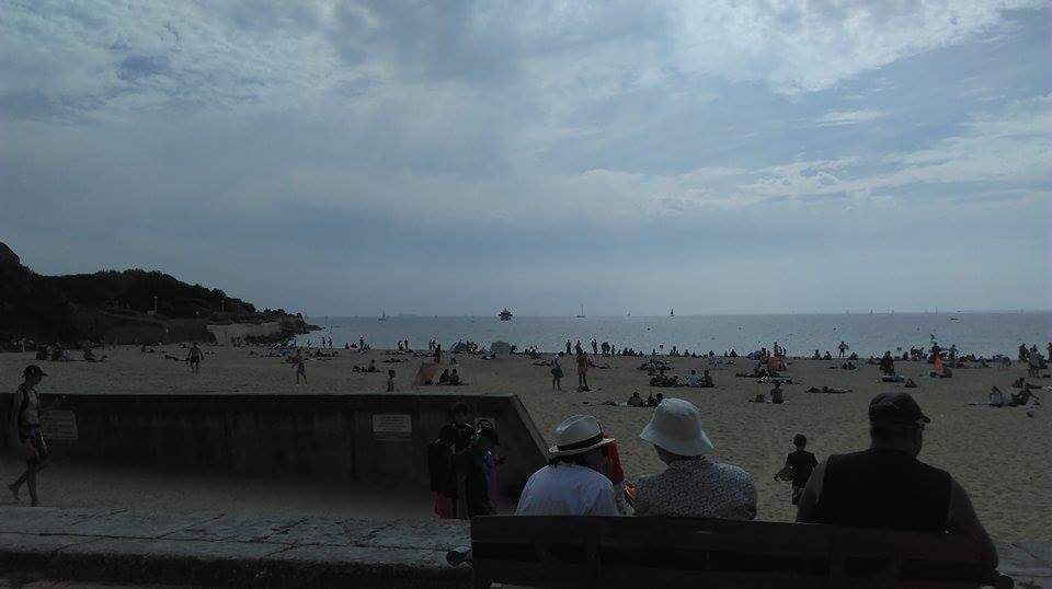 Article : Du rêve à la réalité